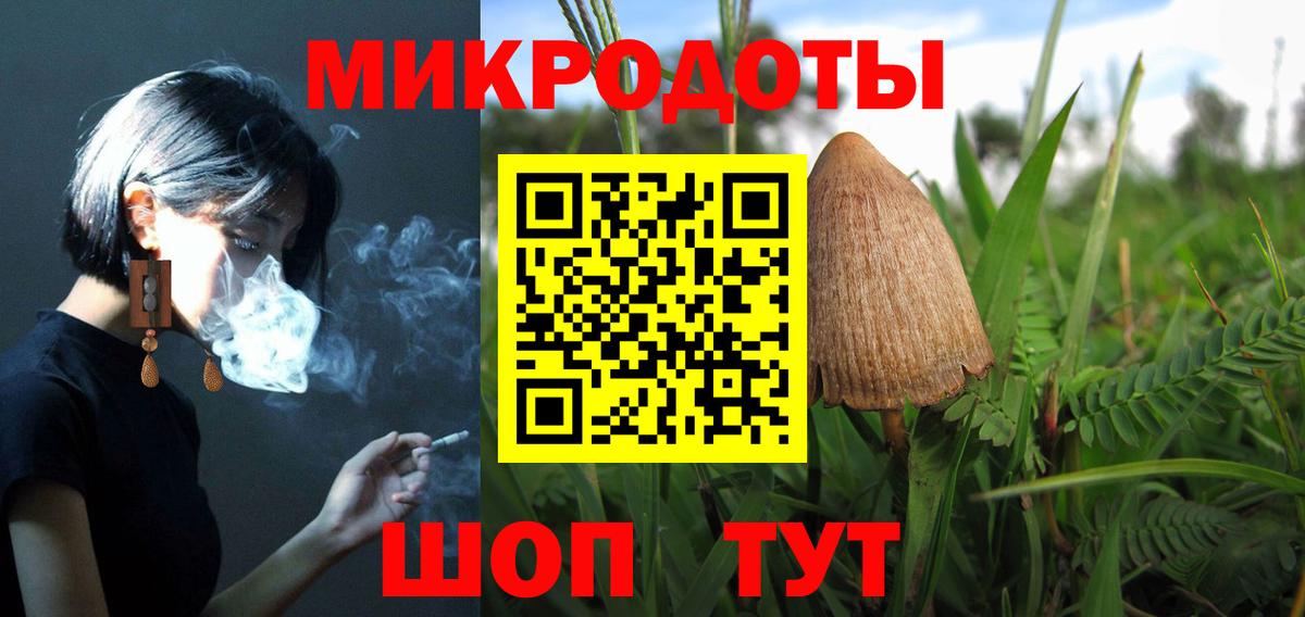 Псилоцибиновые грибы Cubensis Лангепас