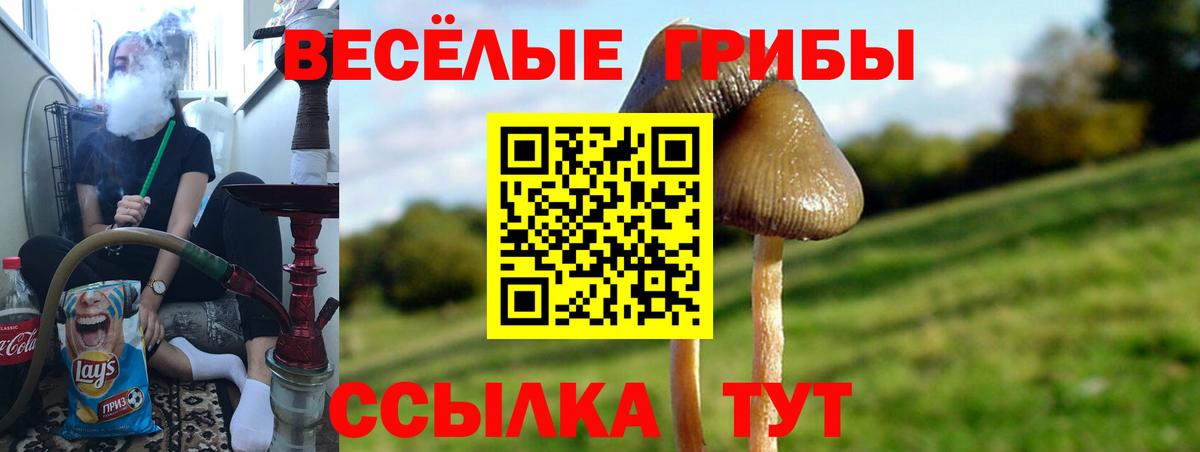 купить  цена  Вход с VPN  Лангепас  Псилоцибиновые грибы мицелий 