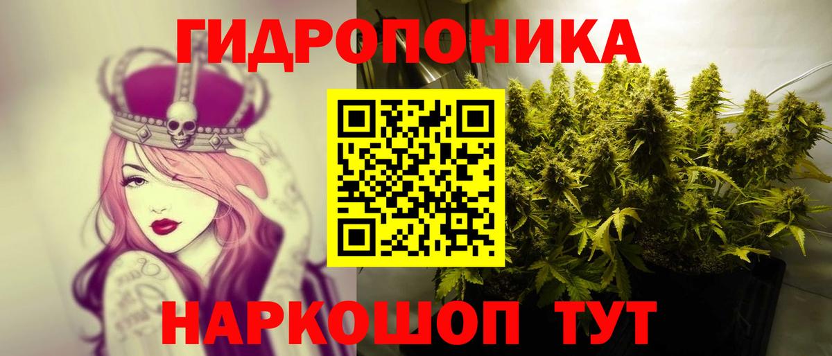 Каннабис сатива Лангепас